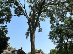 -都江堰普照寺