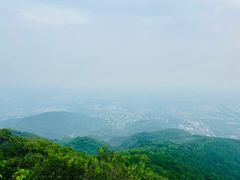 -北京西山国家森林公园