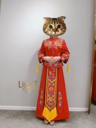-南京宝娜嫁衣婚纱礼服馆(中央路店)