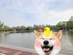 -太阳宫公园