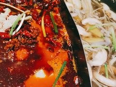 -朱光玉火锅馆(正弘城店)