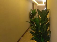 -君九龄瑶浴按摩SPA