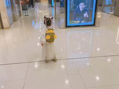 -半天妖烤鱼(东方新天地店)