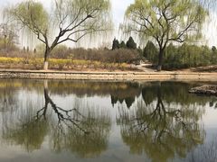 -石家庄市植物园