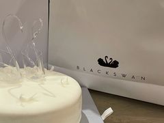 -BLACKSWAN黑天鹅(环球店)