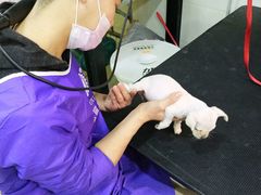 -酷狗靓猫宠物·洗护·美容·寄养(航北路店)