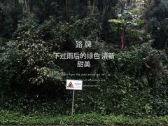 -青城山