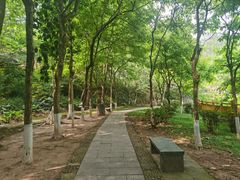 -大屏嶂森林公园