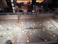 -四季民福烤鸭店(前门店)