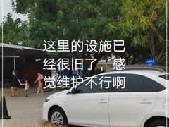 -百万葵园