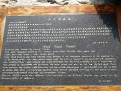 -那香海钻石沙滩浴场