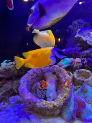 -Zoolung Zoolung动物主题公园(海信广场店)