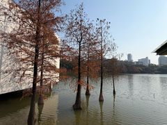 -鹿鸣酒家(越秀店)