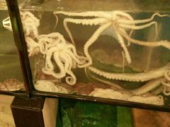 -合家小菜餐馆(新诚花苑店)