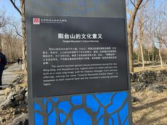 -阳台山自然风景区