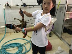 -老虎石海上公园