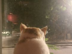 -江湖边·小生活