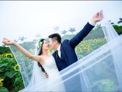 -百万葵园