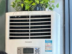 -喜上喜鸡煲翅(吉大店)