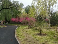 -莲花池公园