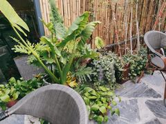 -状元人家·公园别墅衡东土菜(溪悦荟店)