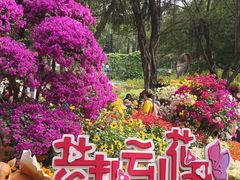 -广州市白云山风景名胜区