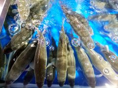-盒马鲜生(莱蒙都会店)