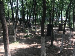 -亲兄弟真人CS团建拓展基地