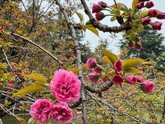 -白塘生态植物园