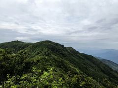 -大围山国家森林公园