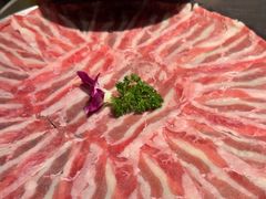 -朱光玉火锅馆(全国总店)