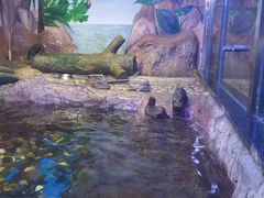 -海合安天津极地海洋公园