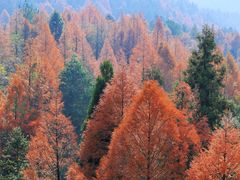-山王坪喀斯特国家生态公园
