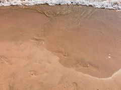 -西涌国际滨海旅游区