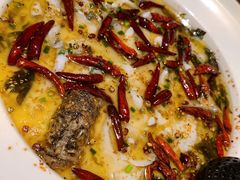 金牌老坛酸菜鲈鱼-首秀·四川料理(星耀101店)