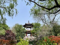 -莲花池公园