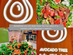 -油梨树AVOCADO TREE(嘉里中心店)