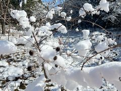 -八大山人梅湖景区