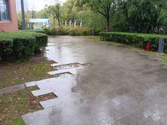 -味千拉面(江城大道永旺梦乐城店)