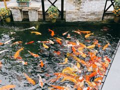 -猪肉婆私房菜(容桂总店)