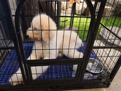 -MOJO密室逃脱(中街旗舰店)