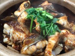 -广宁炭炉鸡煲·富临门饭店