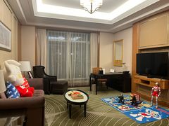 -常州武进九洲喜来登酒店