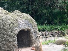 -上海野生动物园