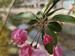 -元大都城垣遗址公园