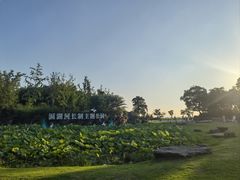 -滆湖低碳生态公园