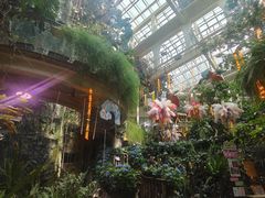 -正佳雨林生态植物园