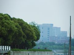 -贡湖湾湿地公园