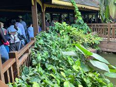-西双版纳原始森林公园