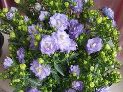 -金陵花卉交易市场